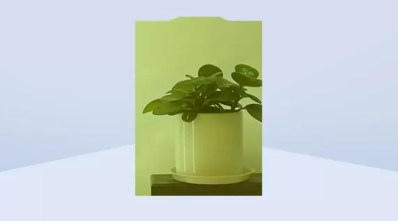 eccb8729ecceeef748e601e475447817.png